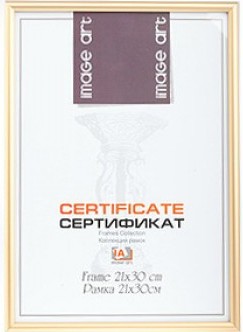 Рамка 6010-8/А золото 21*30