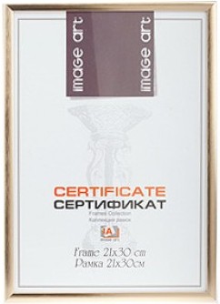 Рамка 6010-8/С шампань 21*30